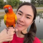 Pattarasaya Kreursuwansiri Instagram - วันนี้วันของลูกรักไข่หวานค่าาา❤️🦜 #ไข่หวานลูกรักก