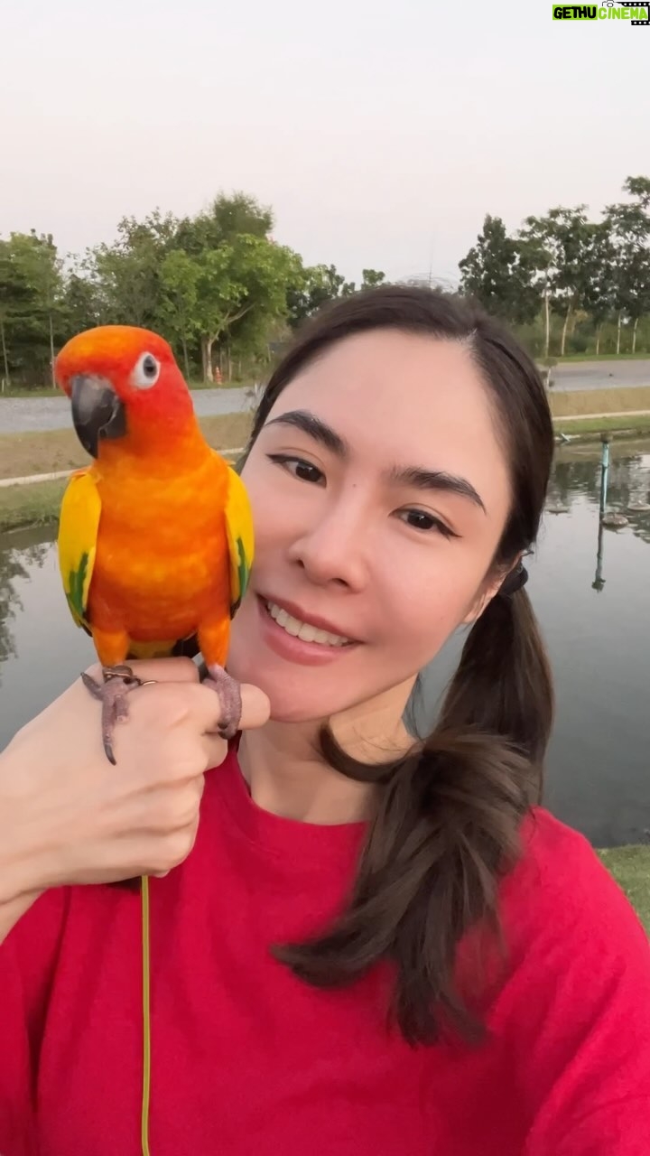 Pattarasaya Kreursuwansiri Instagram - วันนี้วันของลูกรักไข่หวานค่าาา❤️🦜 #ไข่หวานลูกรักก