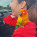 Pattarasaya Kreursuwansiri Instagram - ลูกรักไข่หวาน สุดที่รักของพีคพีค❤️🦜 #ไข่หวานลูกรักก