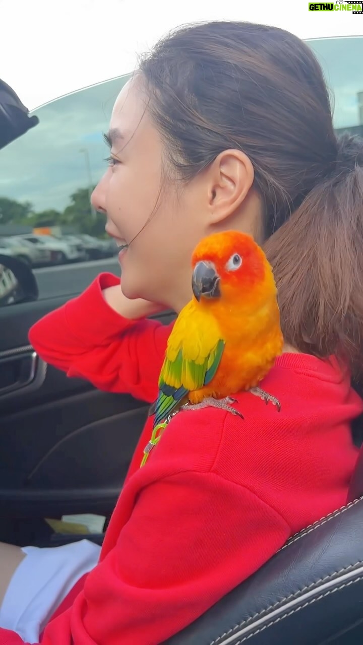Pattarasaya Kreursuwansiri Instagram - ลูกรักไข่หวาน สุดที่รักของพีคพีค❤️🦜 #ไข่หวานลูกรักก