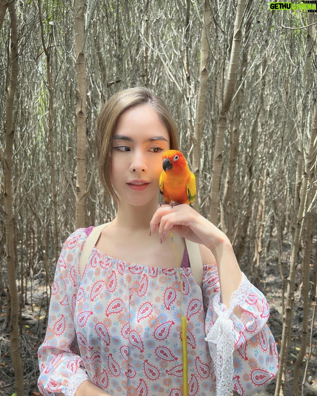Pattarasaya Kreursuwansiri Instagram - มา explore ป่าชายเลนกันค่ะซิส🤩🦜 #ไข่หวานลูกรักก Pranburi Forest Park
