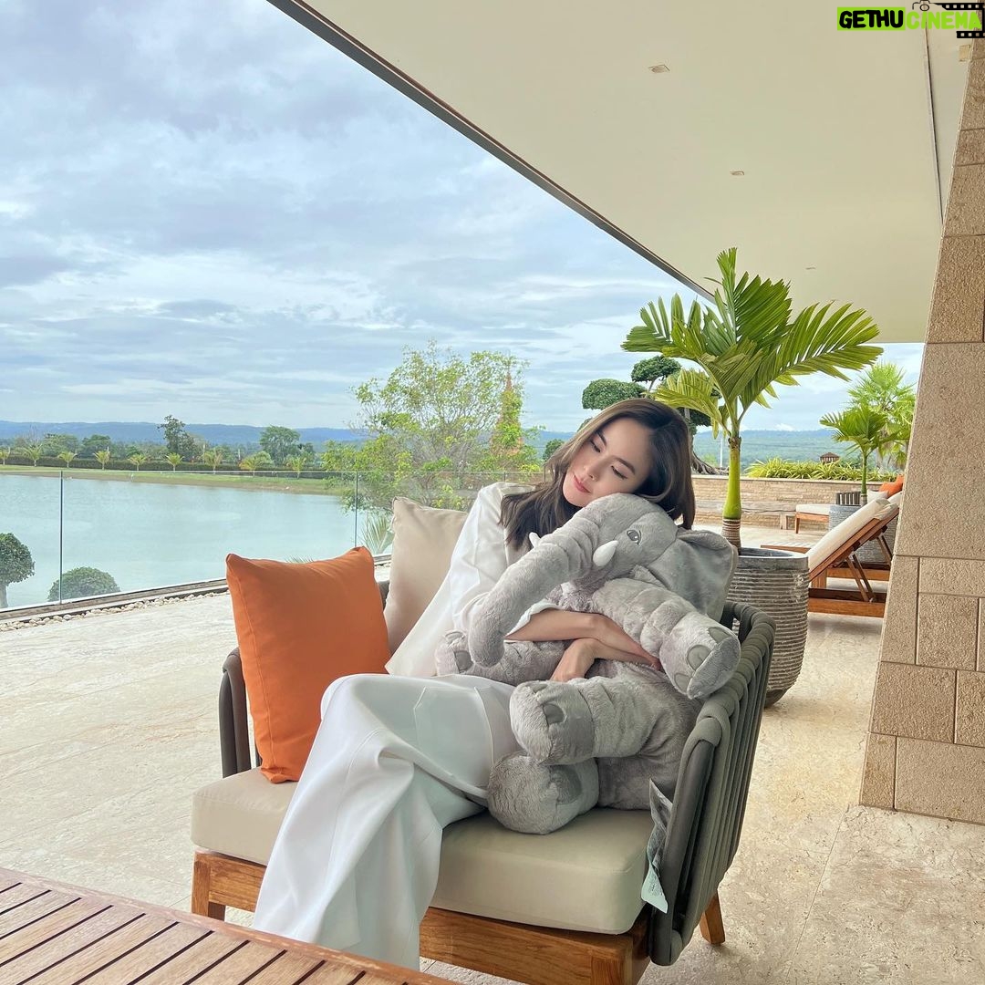 Pattarasaya Kreursuwansiri Instagram - ลูกรักคนใหม่🐘🤍 ชื่ออะไรดีน้า🤔😇