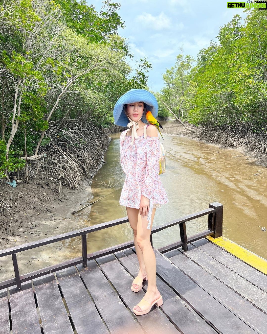 Pattarasaya Kreursuwansiri Instagram - มา explore ป่าชายเลนกันค่ะซิส🤩🦜 #ไข่หวานลูกรักก Pranburi Forest Park