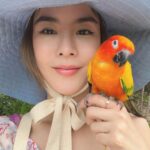 Pattarasaya Kreursuwansiri Instagram - มา explore ป่าชายเลนกันค่ะซิส🤩🦜 #ไข่หวานลูกรักก Pranburi Forest Park