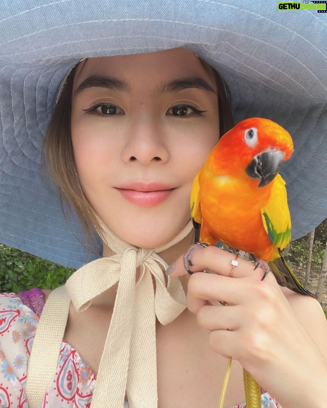 Pattarasaya Kreursuwansiri Instagram - มา explore ป่าชายเลนกันค่ะซิส🤩🦜 #ไข่หวานลูกรักก Pranburi Forest Park
