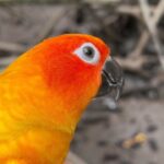 Pattarasaya Kreursuwansiri Instagram - มา explore ป่าชายเลนกันค่ะซิส🤩🦜 #ไข่หวานลูกรักก Pranburi Forest Park