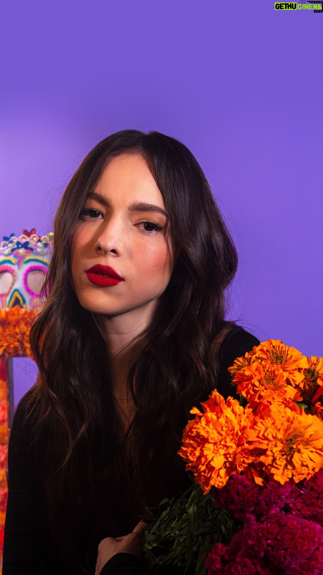 Paty Cantú Instagram - @patycantu nos habla en esta entrevista exclusiva para TREBEL, cómo celebra el Día de Muertos y también sobre el artista que puso en nuestro Altar de Ídolos. Checa la entrevista completa en nuestro canal de YouTube. Link en nuestra Bio.