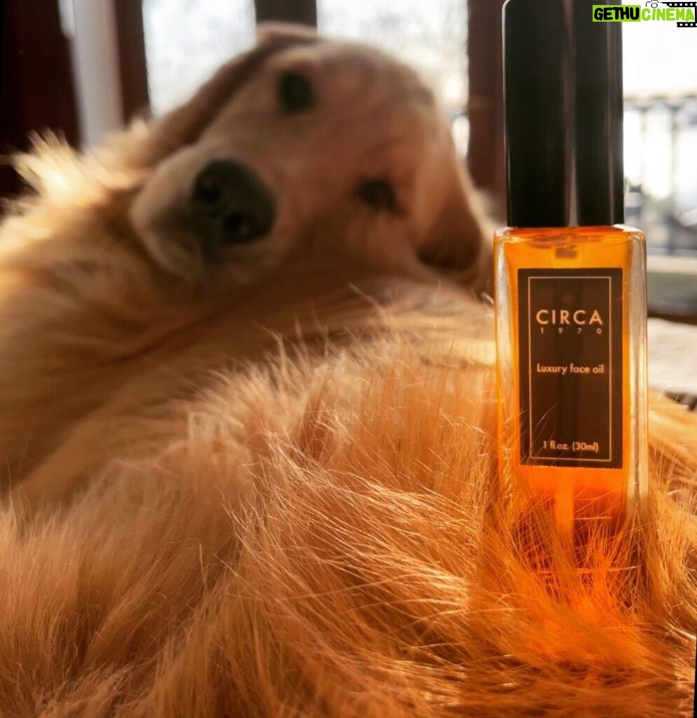 Paul Bettany Instagram - Every dog has his day and I had mine today courtesy of my dear friends @circa1970beauty @barbaraguillaume @akgroomer BTW Wallace loved it! TBH I still thought it tasted a bit weird, but then Jennifer pointed out I should try it on my face. Please send a new bottle ASAP.