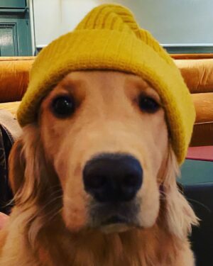 Paul Bettany Instagram - Wallis was a little chilly tonight