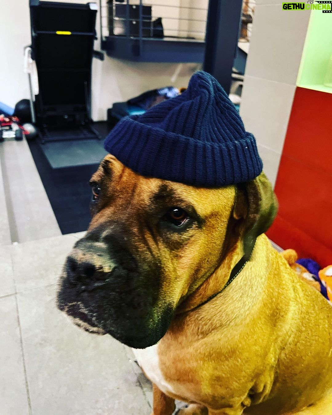 Paul Bettany Instagram - It’s cold out there for a Gusstopher