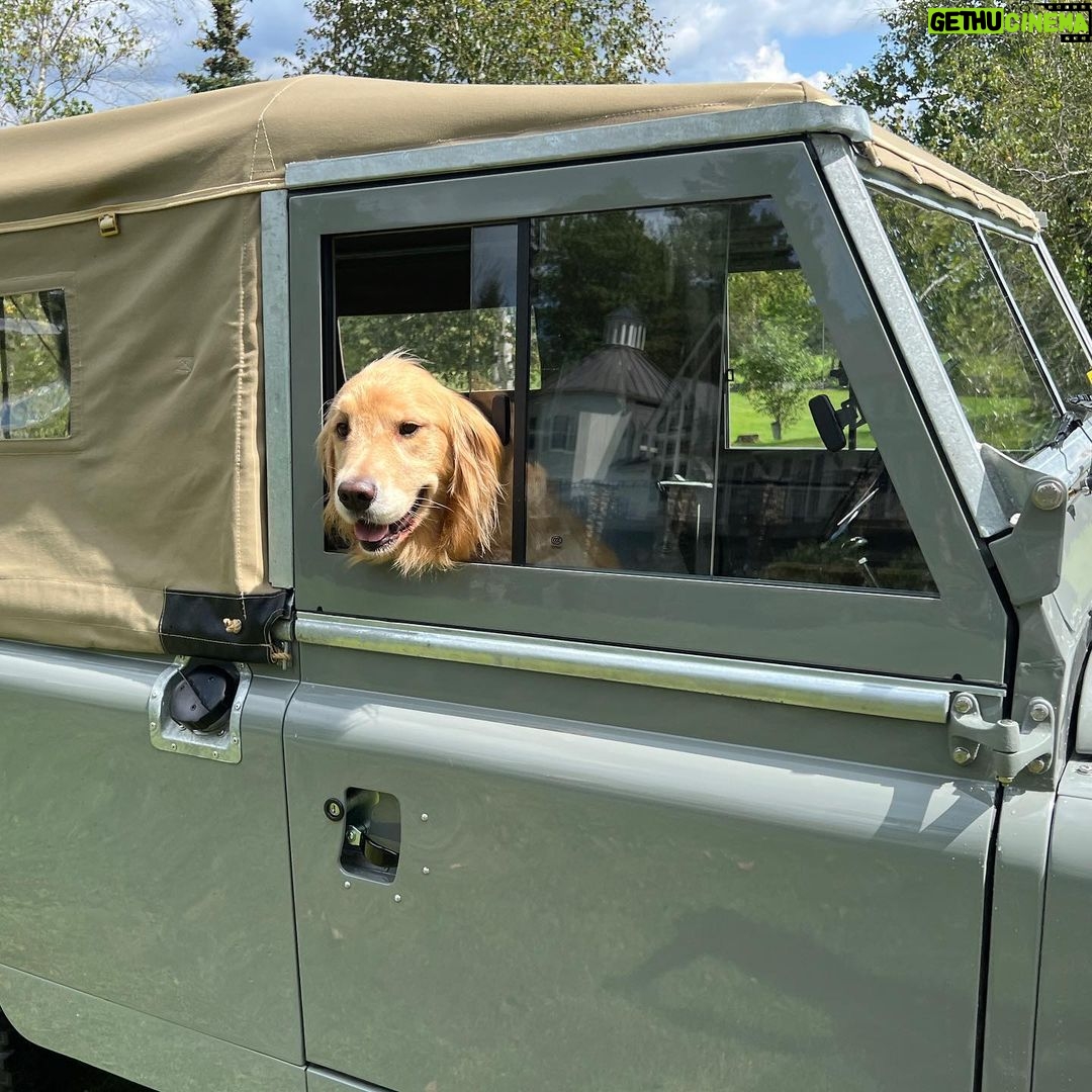 Paul Bettany Instagram - Dear @northamericaoverland Wallis is loving the truck.