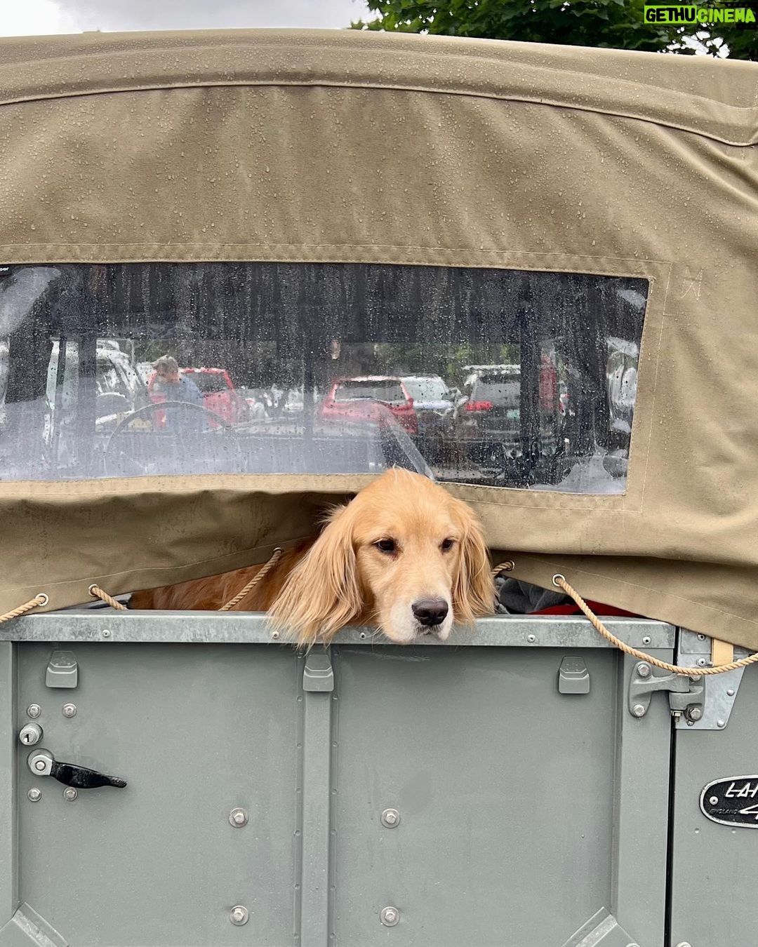 Paul Bettany Instagram - Dear @northamericaoverland Wallis is loving the truck.