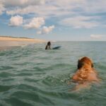 Paul Bettany Instagram - On Martha's Vineyard - Agnes plays in the water unaware of the large furry skWallis.