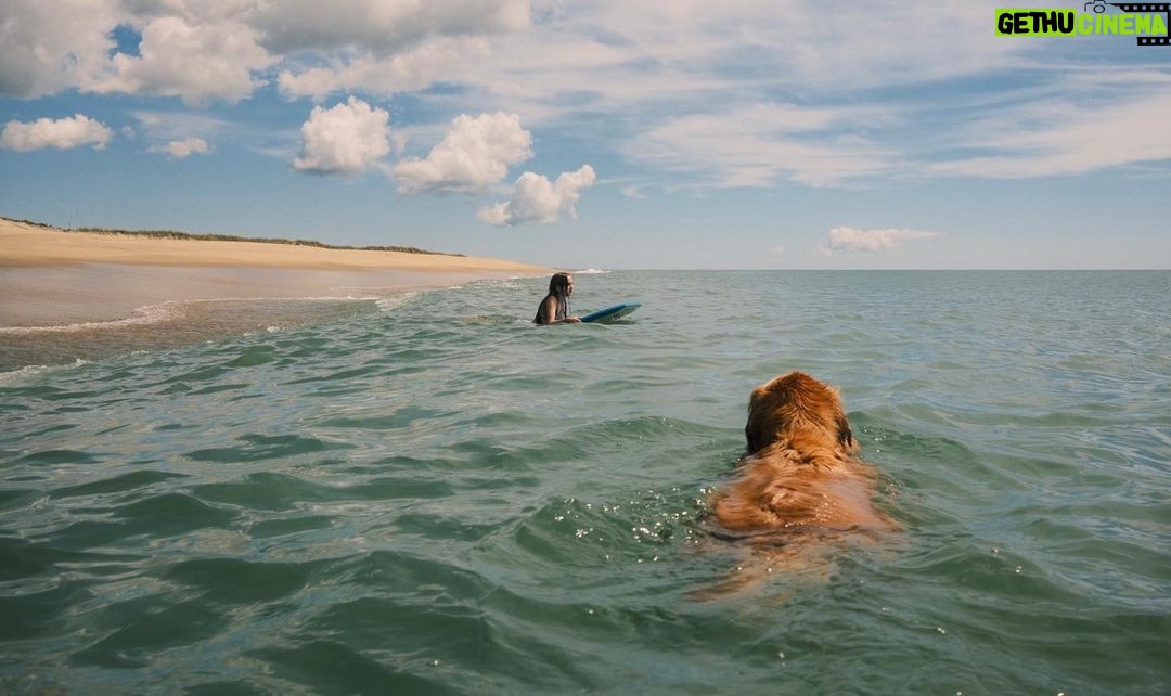 Paul Bettany Instagram - On Martha's Vineyard - Agnes plays in the water unaware of the large furry skWallis.