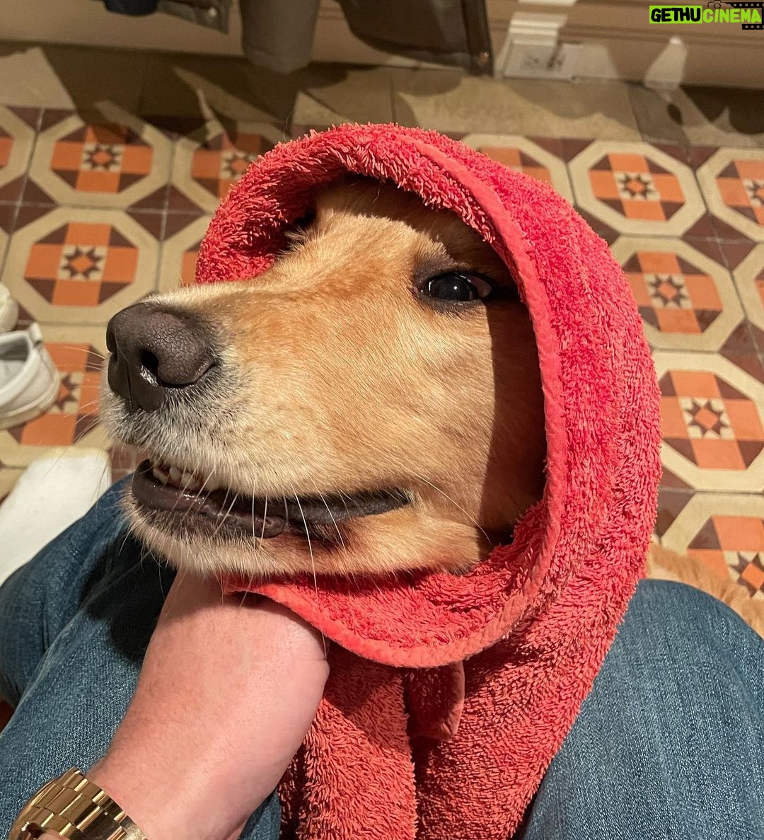 Paul Bettany Instagram - It’s rainy out there.