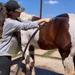 Paula Fernandes Instagram - Dia de banho 🐴