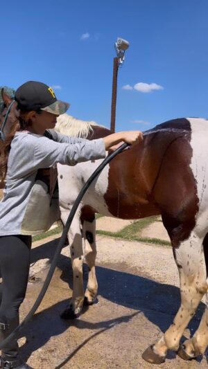 Paula Fernandes Instagram - Dia de banho 🐴