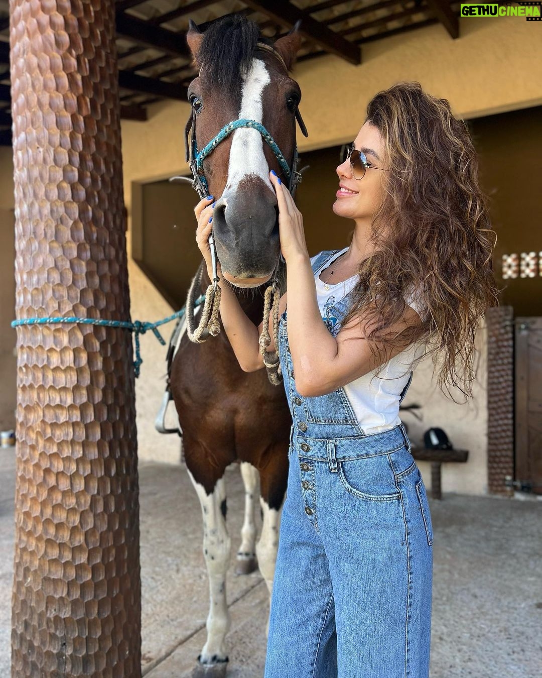 Paula Fernandes Instagram - Aquele chamego antes da cavalgada! 🐴🤎