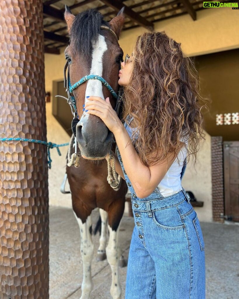 Paula Fernandes Instagram - Aquele chamego antes da cavalgada! 🐴🤎