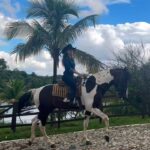 Paula Fernandes Instagram – Um amor que me faz feliz… ❤️🐴 Meu Coração