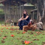 Paula Fernandes Instagram – Porque amor a gente não escolhe, a gente só sente! ❤️🌿