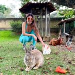 Paula Fernandes Instagram – 🐰MINHAS ORIGENS🐴