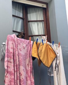 Paula Gonu Instagram - 1. una siesta en la playa de portizuelo en asturias 2. un atardecer en la isla antes de comerme un helado sandwich 3. un cachopo de cecina y queso de cabra mientras os edito alguna etapa en ballota 4. se me están quedan pequeños los sets de deporte de lo que me estoy zampando el norte y qué 5. decidme el nombre de esta playa🙏🏽 6. hecha polvo yendo a cenar con la sudadera manchada de aceite 7. post bañito en gijón a las 8h antes de empezar a caminar 8. estoy sensible con el tema 9. luarca me enamoró 10. dos gatillos asturianos