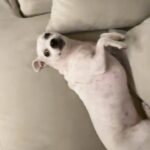 Paula Gonu Instagram - 1. en un hotelito de madrid comiéndome un poke horas antes de una noche especial 2. haciendo uso del ego de mi personaje apreciando mi nueva apariencia 3. pocas cosas mejores existen y si sabéis alguna nombradla 4. =2 5. hace unos minutos probándome cosas pa la velada el sábado 6. sigo pudiéndome hacer mi peinado favorito entonces todo está bien 7. =2 =4 8. =2 =4 = 7 9. el otro día volviendo un poco bebida a casa teniendo que bajar a la coco 10. yo soy esa amiga vuestra