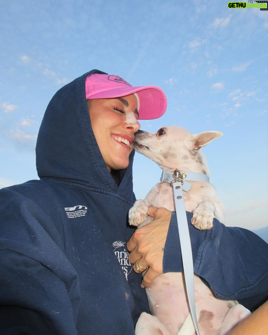 Paula Gonu Instagram - mi coquito querida, el angelito, el ser vivo más increíble que he conocido!! cumples 10 añitos en un mes y te felicito por aquí porque sé que lo vas a leer porque me niego a pensar que no haces cosas de humano cuando no me doy cuenta. me haces llorar de lo buena que eres y no sé qué haría sin ti. 10 años compartiendo vida juntas maldita rata con piel rosa y manchitas de vaca. Te amo mucho. Gracias por existir, ojalá todos conociesen un amor como el tuyo cocoguapiisss
