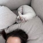 Paula Gonu Instagram – mi coquito querida, el angelito, el ser vivo más increíble que he conocido!! cumples 10 añitos en un mes y te felicito por aquí porque sé que lo vas a leer porque me niego a pensar que no haces cosas de humano cuando no me doy cuenta. me haces llorar de lo buena que eres y no sé qué haría sin ti. 10 años compartiendo vida juntas maldita rata con piel rosa y manchitas de vaca. Te amo mucho. Gracias por existir, ojalá todos conociesen un amor como el tuyo cocoguapiisss