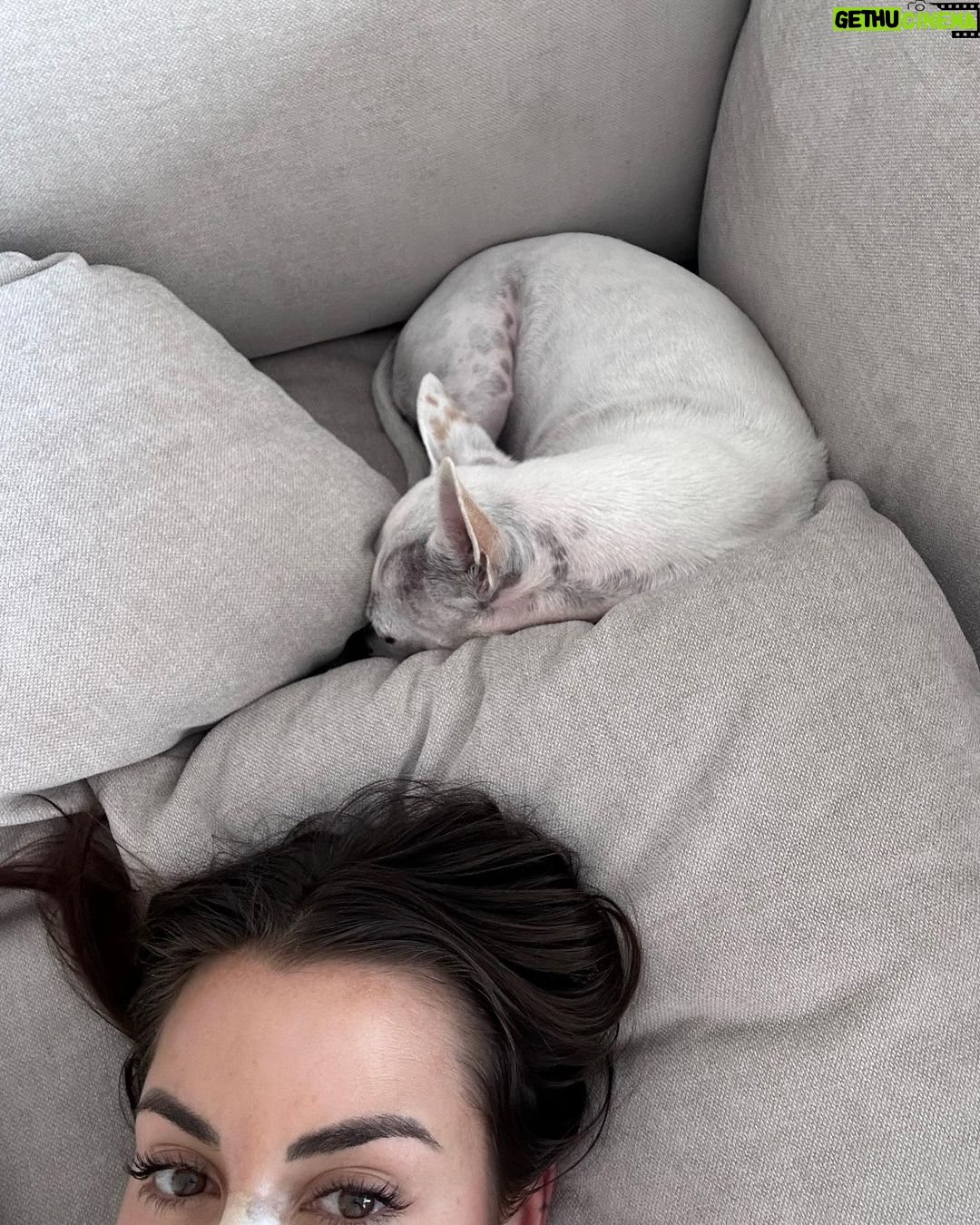 Paula Gonu Instagram - mi coquito querida, el angelito, el ser vivo más increíble que he conocido!! cumples 10 añitos en un mes y te felicito por aquí porque sé que lo vas a leer porque me niego a pensar que no haces cosas de humano cuando no me doy cuenta. me haces llorar de lo buena que eres y no sé qué haría sin ti. 10 años compartiendo vida juntas maldita rata con piel rosa y manchitas de vaca. Te amo mucho. Gracias por existir, ojalá todos conociesen un amor como el tuyo cocoguapiisss