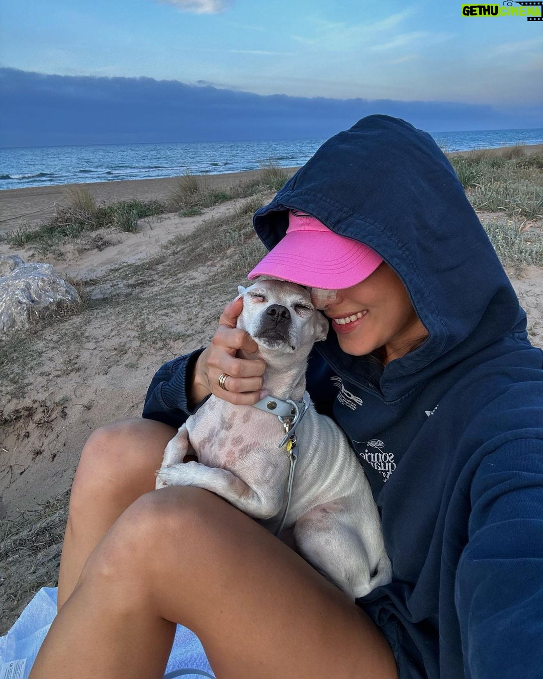 Paula Gonu Instagram - mi coquito querida, el angelito, el ser vivo más increíble que he conocido!! cumples 10 añitos en un mes y te felicito por aquí porque sé que lo vas a leer porque me niego a pensar que no haces cosas de humano cuando no me doy cuenta. me haces llorar de lo buena que eres y no sé qué haría sin ti. 10 años compartiendo vida juntas maldita rata con piel rosa y manchitas de vaca. Te amo mucho. Gracias por existir, ojalá todos conociesen un amor como el tuyo cocoguapiisss
