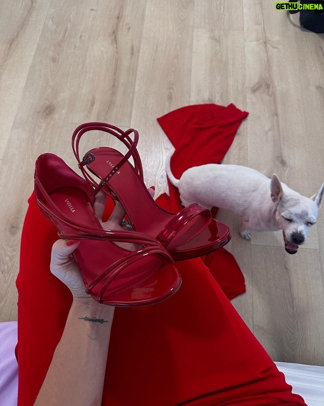 Paula Gonu - 121.6K Likes - 1. mi madre haciéndome fotos antes de entrar
2. aprovechando los últimos rayos de luz
3. la coquins usando la cola del vestido como cama y os he hecho caso, llevo los de la izquierda
4. en el ascensor con la mami🫶🏽
5. mi cena de ayer porque no tenía nada más pero qué rica la hamburguesa de @heurafoods.es y los brocolinsssss
6. el vestido colgao de las cortinas porque no tengo plancha en casa
7. sin más el otro día antes de la queens
8 y 9. fotos de la mama
10. a mí tb🥹🫶🏽