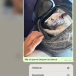 Paula Gonu Instagram - 1. yendo al tren el otro día, la coquins cada vez más acostumbrada al transportín 2. hace unas horitas y en el hormiguero 3. cata de botas en mejores amigos para una cosa que grabo pronto 4. la coco en el tren (las chicas de al lado se enamoraron de ella) 5. probando looks para otra cosa que tengo pronto 6. haciendo copy paste de esa frase para cuando quiera decir que NO a un plan (en español) 7. con algunas de mis amigas del cole en el cumple de clau el otro día🫶🏽 8. uno de mis vicios: comprar palomitas del cine para comérmelas en casa viendo vídeos de gente comiendo 9. ayer cené en un chino en madrid del que me habían hablado muy bien y no me pareció para tanto :( pero igual vuelvo a probar otros platos 10. like: amador VS comenta: antonio recio