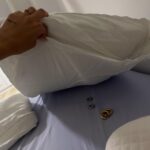 Paula Gonu Instagram - 1. recogiendo los frutos de las búlgaras poc a poc 2. estrenando camiseta ayer 3. inteligencia supongo 4. comentad 4 si queréis un post dedicado a la coco (su ojo en blanco xd) 5. siempre me acuerdo de que me molestan los pendientes y a vez en la cama, así que los voy coleccionando en la almohada de al lado 6. se ve que nos gustó la camiseta de la 2 7. el plato que más despierta mi dilema moral por ser uno de mis favoritos: pato pekin🫠 8. saber mucho te obliga a fingir a veces no??? 9. la foto que le pasé al @drblasgarcia para que vaya viendo el progreso 10. yo yo yo yo yo y literalmente yo
