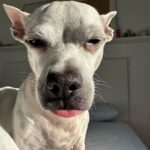 Paula Gonu Instagram - 1. recién maquilladita un día en madrid 2. haciendo recados con Andrés 3. detrás de cámaras de Titanic: lo que realmente había 4. volviendo del gym en Bali, con la toalla en la cabeza porque tenía el pelo chorreando de sudor 5. feliz en la nieve pero hasta el año que viene 6. lo mismo que en la 5 pero con una de mis personas favoritas 7. cuántas veces os ha pasado ptas???? 8. con mi mami y mi nariz antigua celebrando mi cumple en mi rest fav de barcelona (delante teníamos a mi padre y mi tía Lourdes jjj) 9. los ángeles tienen la lengua así 10. y las croquetas se comen aplastadas