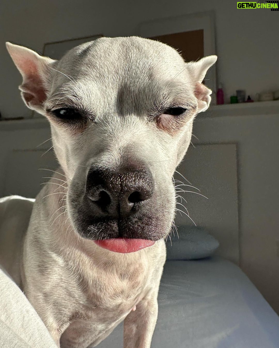 Paula Gonu - 120K Likes - 1. recién maquilladita un día en madrid
2. haciendo recados con Andrés
3. detrás de cámaras de Titanic: lo que realmente había
4. volviendo del gym en Bali, con la toalla en la cabeza porque tenía el pelo chorreando de sudor
5. feliz en la nieve pero hasta el año que viene
6. lo mismo que en la 5 pero con una de mis personas favoritas
7. cuántas veces os ha pasado ptas????
8. con mi mami y mi nariz antigua celebrando mi cumple en mi rest fav de barcelona (delante teníamos a mi padre y mi tía Lourdes jjj)
9. los ángeles tienen la lengua así
10. y las croquetas se comen aplastadas