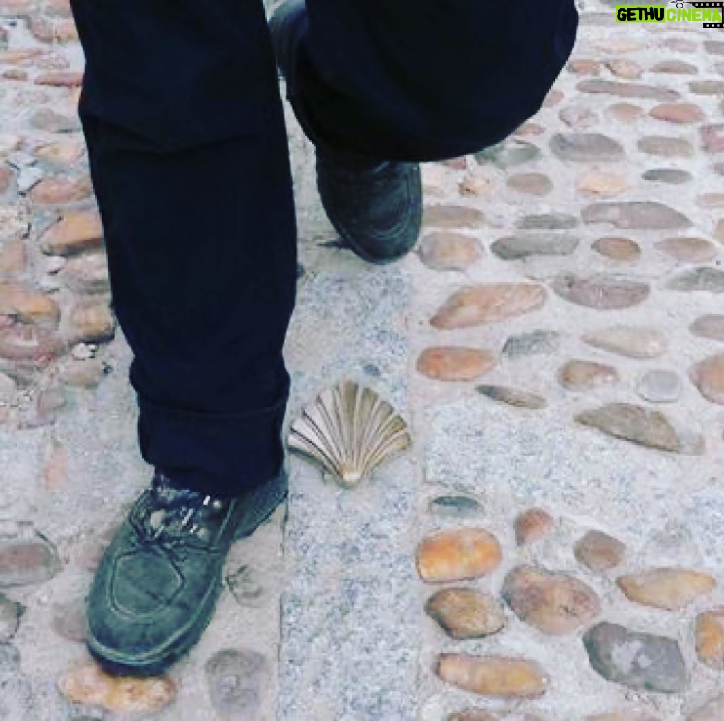 Paulo Coelho Instagram - “I wept because I was re-experiencing the enthusiasm of my childhood; I was once again a child, and nothing in the world could cause me harm.” (Coelho, The Pilgrimage ) #DiariodeumMago