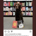 Paulo Coelho Instagram -