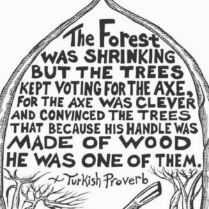 Paulo Coelho Instagram - The forest was shrinking 
but the trees kept voting for the axe
for the axe was clever and convinced the trees 
that because his handle was made of wood
he was one of them

(Turkish proverb)