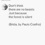 Paulo Coelho Instagram - ‪Don’t think ‬ ‪there are no beasts‬ ‪Just because ‬ ‪the forest is silent ‬ ‪(Brida, by Paulo Coelho)‬