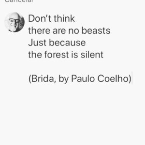 Paulo Coelho Instagram - ‪Don’t think ‬
‪there are no beasts‬
‪Just because ‬
‪the forest is silent ‬ ‪(Brida, by Paulo Coelho)‬