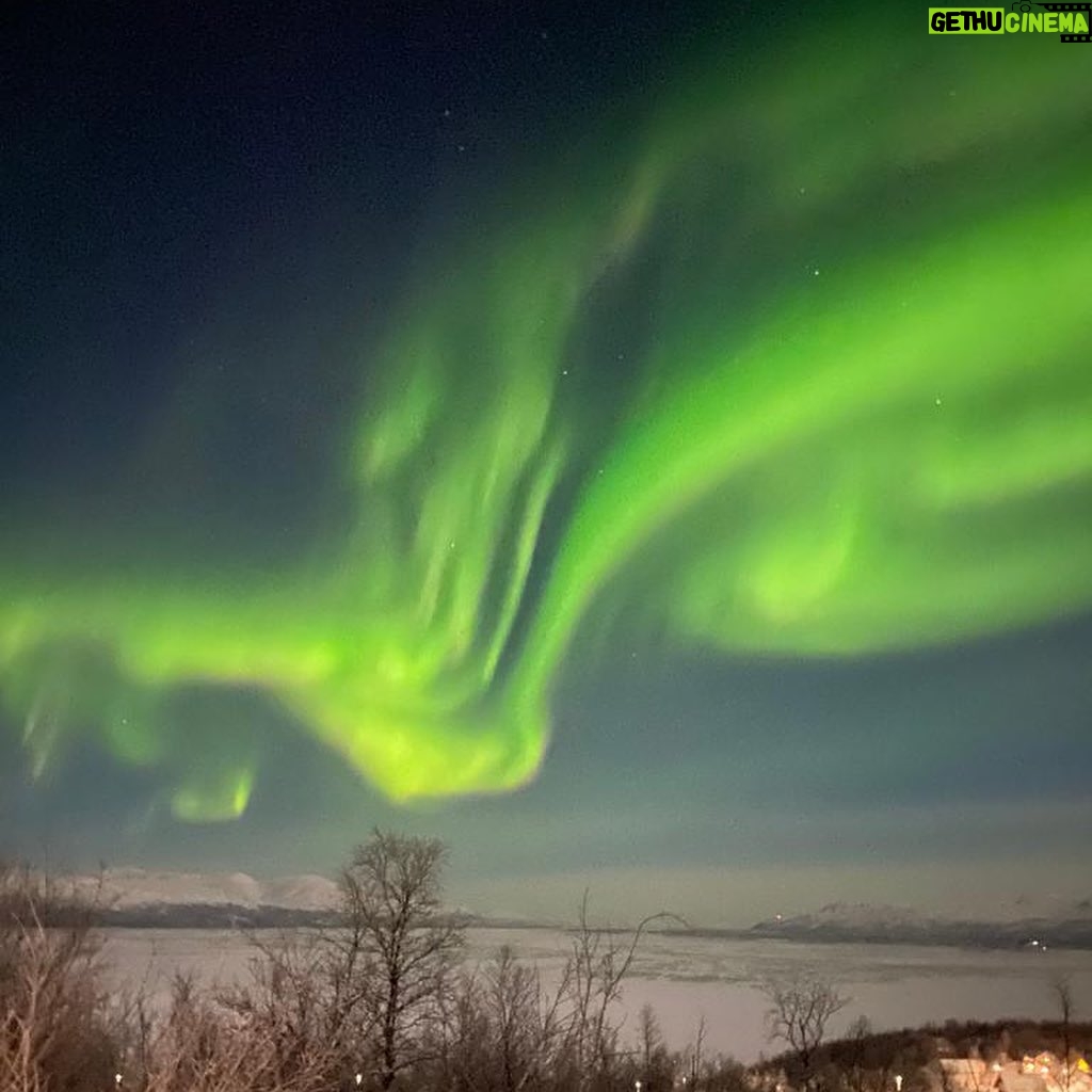 Payman Maadi Instagram - چنان بدرخش گویی کل جهان از آن توست “ Shine like the whole universe is yours. “ - Rumi Magical Northern lights. #aurora #nofilter #sweden#شفق_قطبی