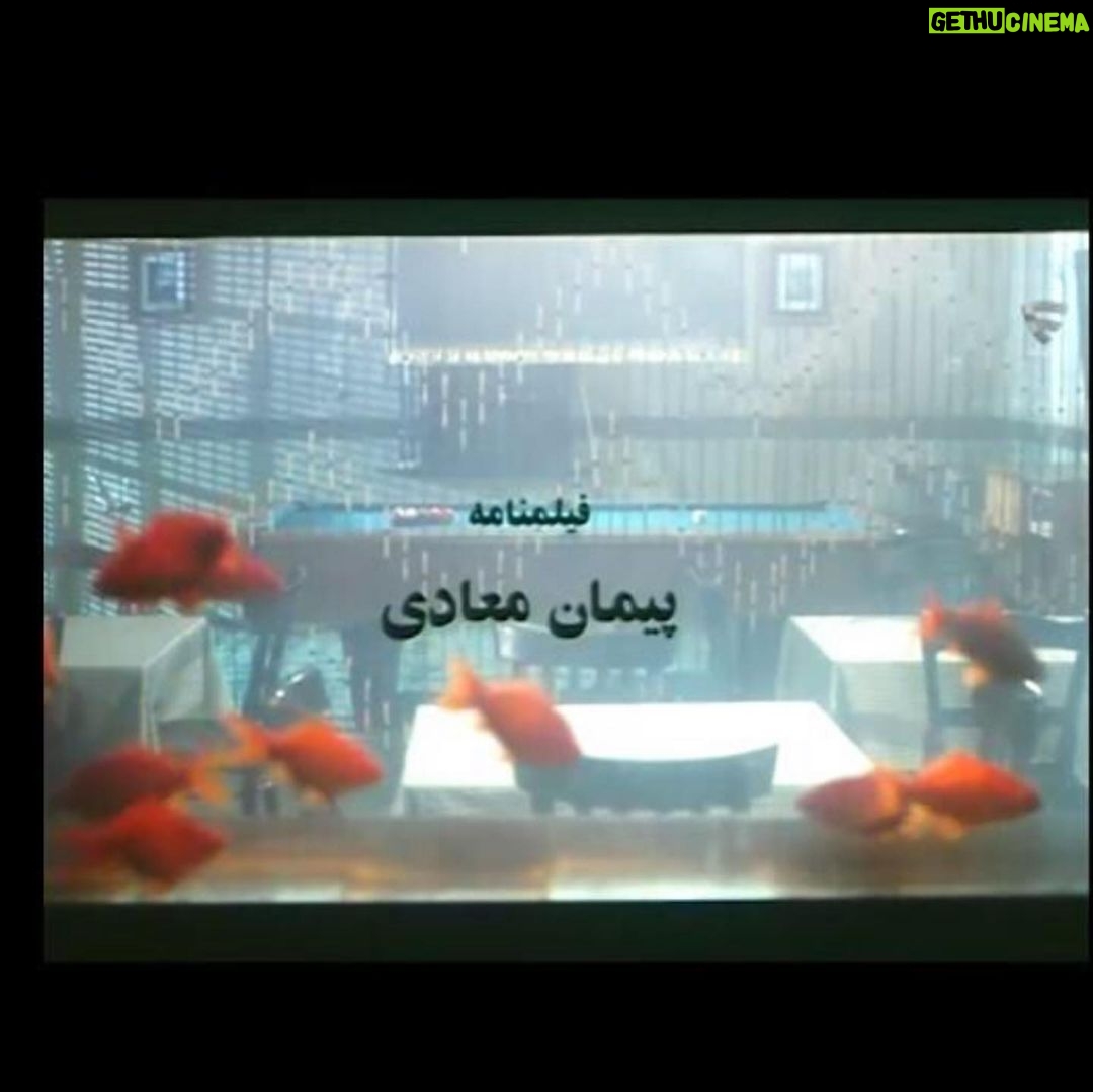 Payman Maadi Instagram - كافه ستاره، فيلمى از سامان مقدم كه سال ١٣٨٣ فيلمنامه انرا با برداشتى ازاد از كوچه مدق نوشتم. قصه اى زيبا از نجيب محفوظ كه در ٣ اپيزود روايت ميشود سالومه چه با حسرت از دريا ميگفت....