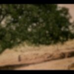 Payman Maadi Instagram - . - آینه می‌آری؟ - آینه‌ها رو جمع کردن. تو هم دلت برای چشمای خودت تنگ می‌شه؟ . لوگوی فیلم سینمایی «درخت گردو» به کارگردانی محمدحسین مهدویان و تهیه کنندگی سید مصطفی احمدی رونمایی شد. . . طراح لوگو: محمد روح الامین موشن گرافیست: سیاوش یحیایی و مهدی زحمتکش موسیقی: حبیب خزائی فر عکاس: مجید طالبی