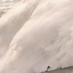 Pedro Scooby Instagram - Amanhã volto a treinar e é claro que na minha mente primeira coisa que vem é um amigo meu e uma lenda do surf de ondas grandes que nos deixou semana passada, no mesmo lugar dessa onda que quase morri 3 anos atrás, Nazare! Faço o que posso para eliminar os riscos e deixo nas mãos de Deus! Faço por amor e por anos e anos de dedicação! Foco na missão, que a temporada ainda está rolando!