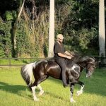 Pedro Scooby Instagram - Onde eu encontro a paz 🐴