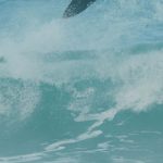 Pedro Scooby Instagram - Dentro d’água o dia inteiro! Portugal é muito bom de surf 🙏🏼 🎥 @mateusswerneck