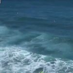 Pedro Scooby Instagram - O QUE O PEDRO SCOOBY TÁ FAZENDO NO ISA GAMES É LOUCURA, PÔ! 🤯 DO NADA, o cara ligou pro CAMPEÃO Gabriel Medina ao vivaço, logo depois do título! QUE HOMEM! 🤩 #SurfeNaCazéTV