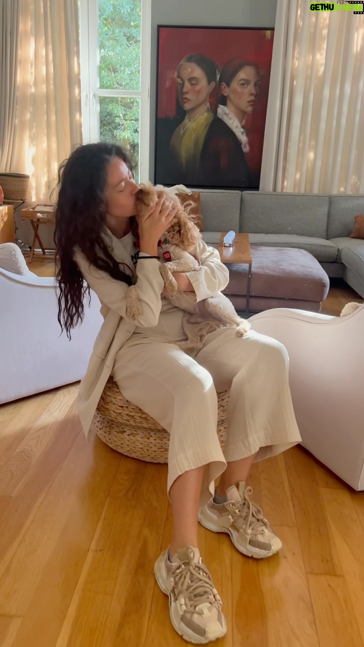 Pelin Akil Instagram - Evcil hayvan dostlarımızı, seyahat ederken yanımızda götürmek Türk Hava Yolları’yla artık çok kolay. Mobil uygulama ve websitesinden bilet alırken de bilet aldıktan sonra da evcil hayvanlarınızı ekleyebilirsiniz. Böylece hayvan dostlarımız tatilde ve seyahatlerde hep bizimle🥰🙏🏻 #turkishairlines #Türkhavayollari @turkishairlines #işbirliği